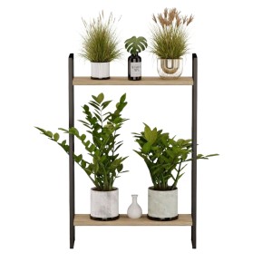 Kwietnik loftowy dąb crenoma