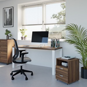 Kontenerek-orzech wiz1 (1).jpg