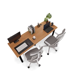 Biurko podwójne Iron Duo - Olcha (3).jpg