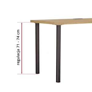 dąb kamienny_noga wymiar.jpg