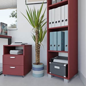 Regał biurowy na segregatory -  Czerwony (6).jpg