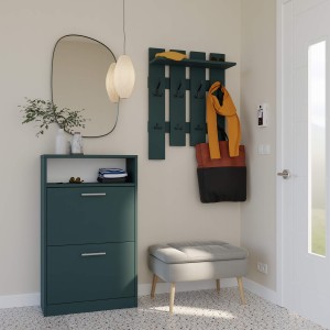 Szafka-na-buty-z-półką-zielony (1).jpg