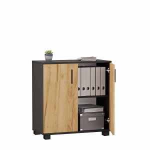 Comodă de birou pentru documente - Negru (1)