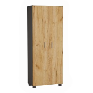 czarny-dabzloty_szafa podwójna_1b.jpg